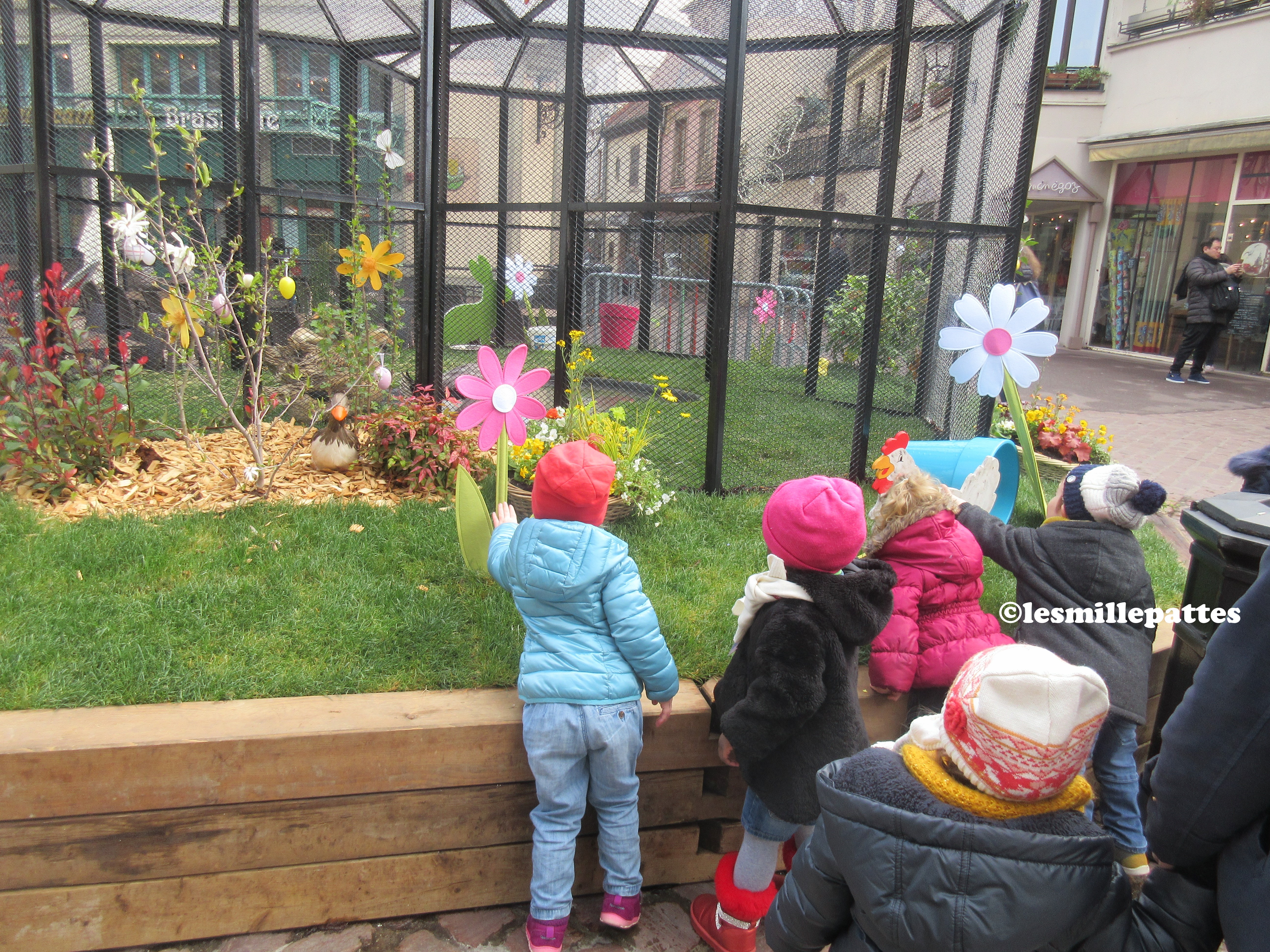 IMG_4607bis https://creche-millepattes-colmar.fr/wp-content/uploads/2019/04/IMG_4607bis.jpg