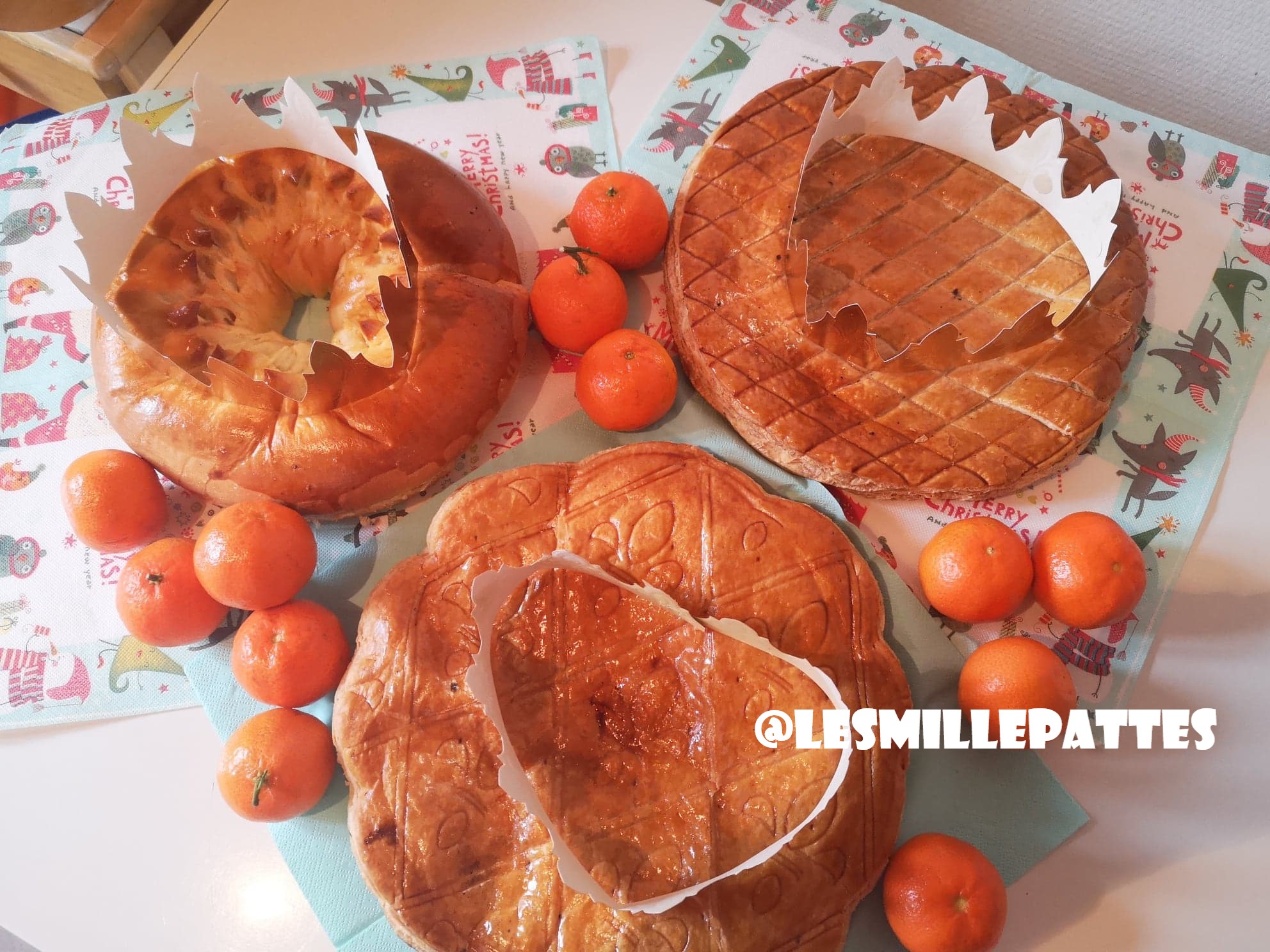 82411370_488016565167918_4149473277393240064_n (1)