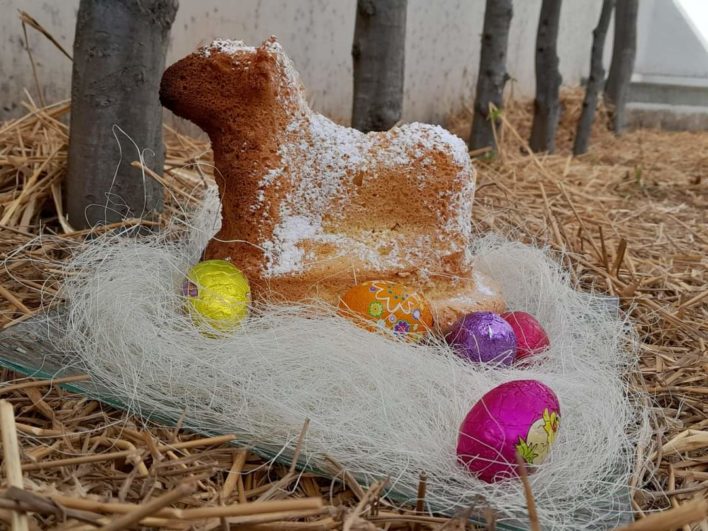 FB_IMG_1711712586011