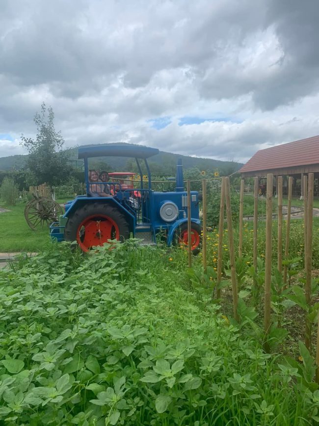 FB_IMG_1737359211226